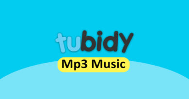 Tubidy MP3 and MP4 download