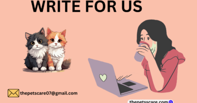 WRITE FOR US