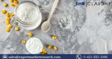 Corn Starch Market