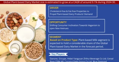 Plant-based Dairy Market