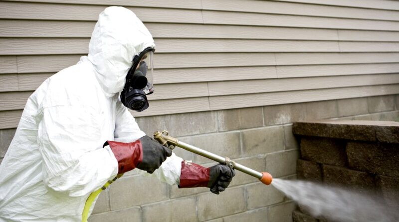 termite fumigation