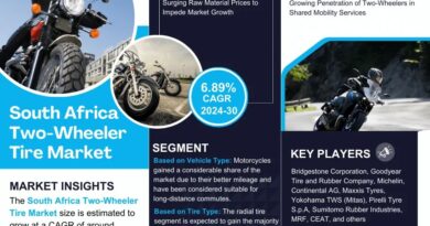 South Africa Two-Wheeler Tire Market