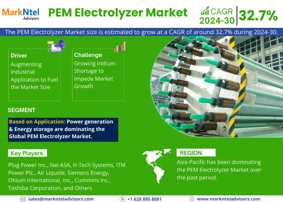 Global PEM Electrolyzer Market