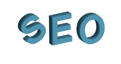 best seo services in pinellas park fl